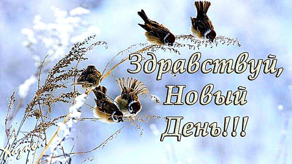 С добрым утром весенние православные