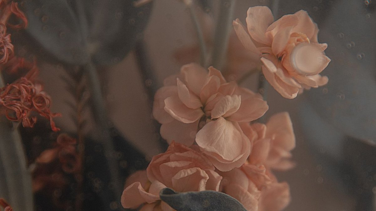 Бежевые цветы Эстетика