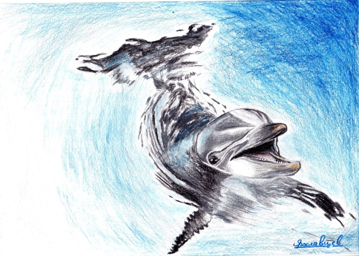 Рисунки цветными карандашами дельфины