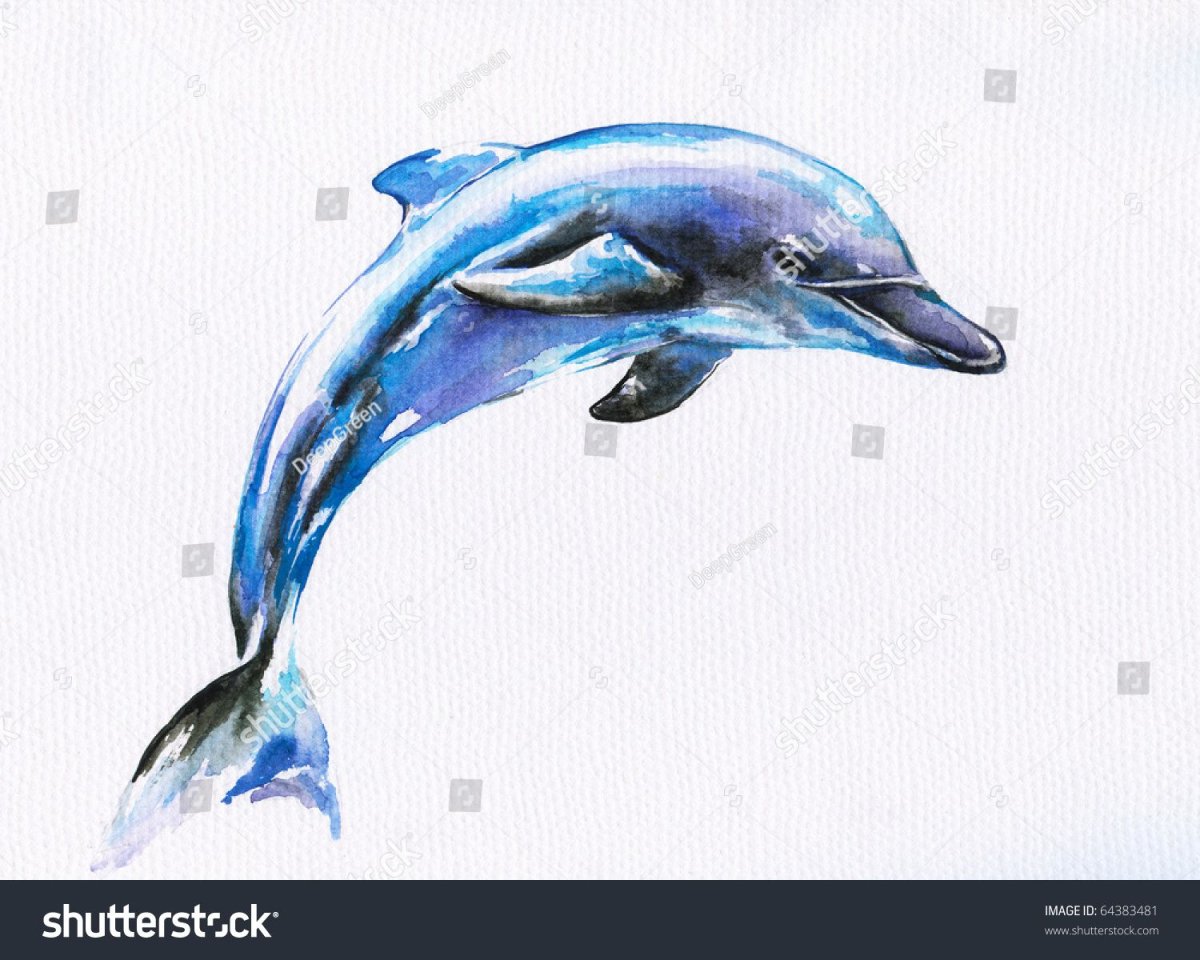 Скетчинг дельфины