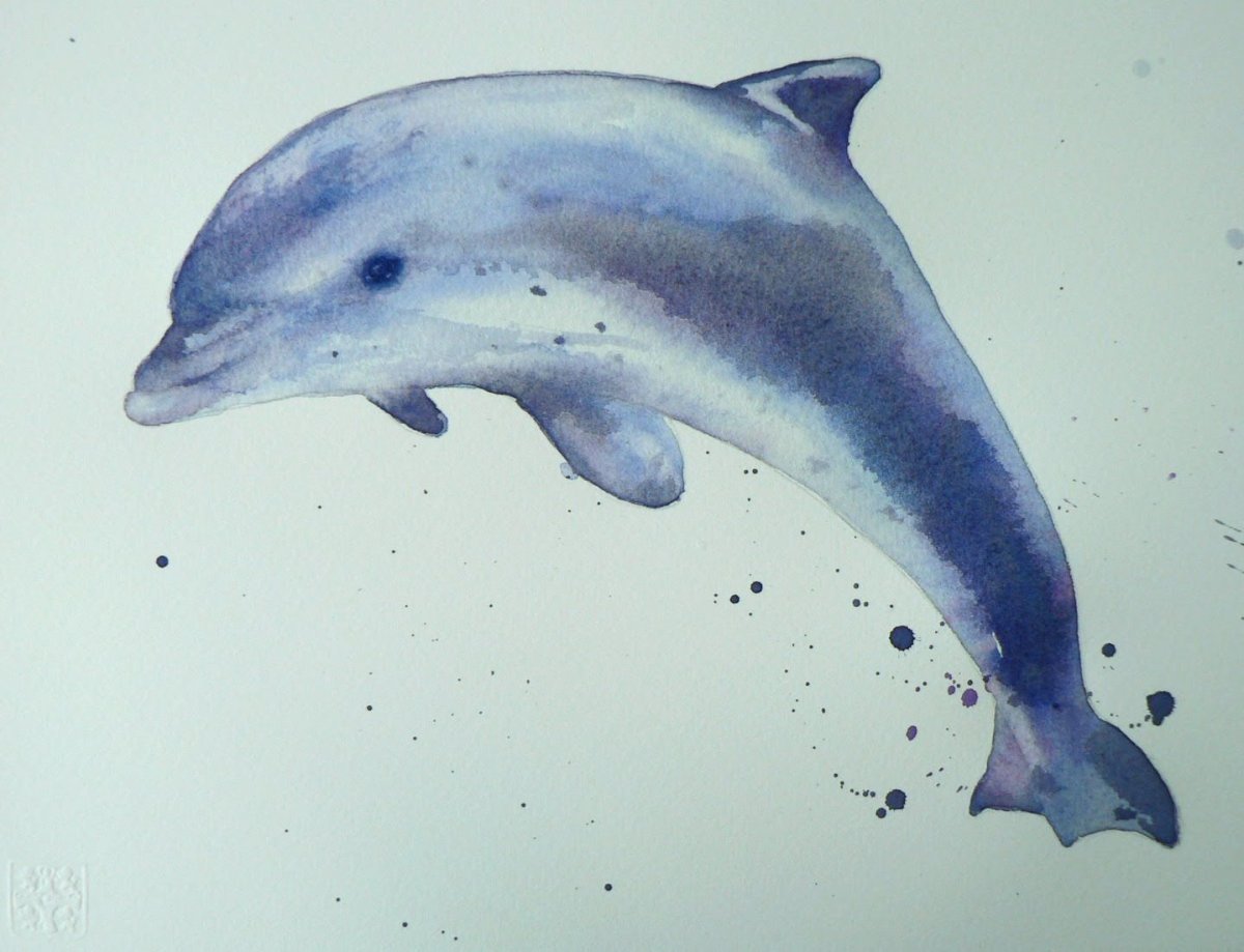 Дельфин акварелью