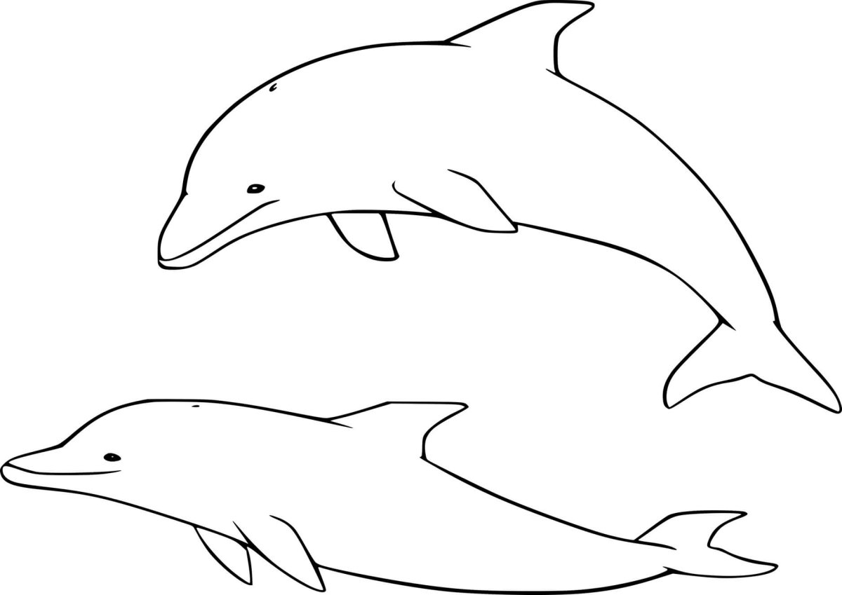Дельфин рисунок