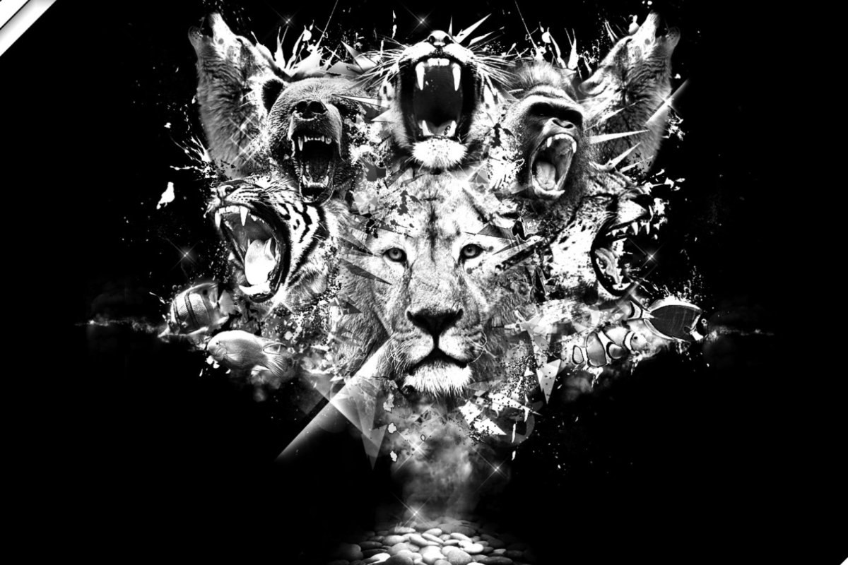 Вода Эстетика