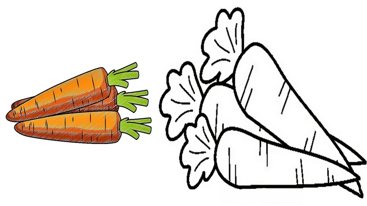 Морковка рисунок для детей