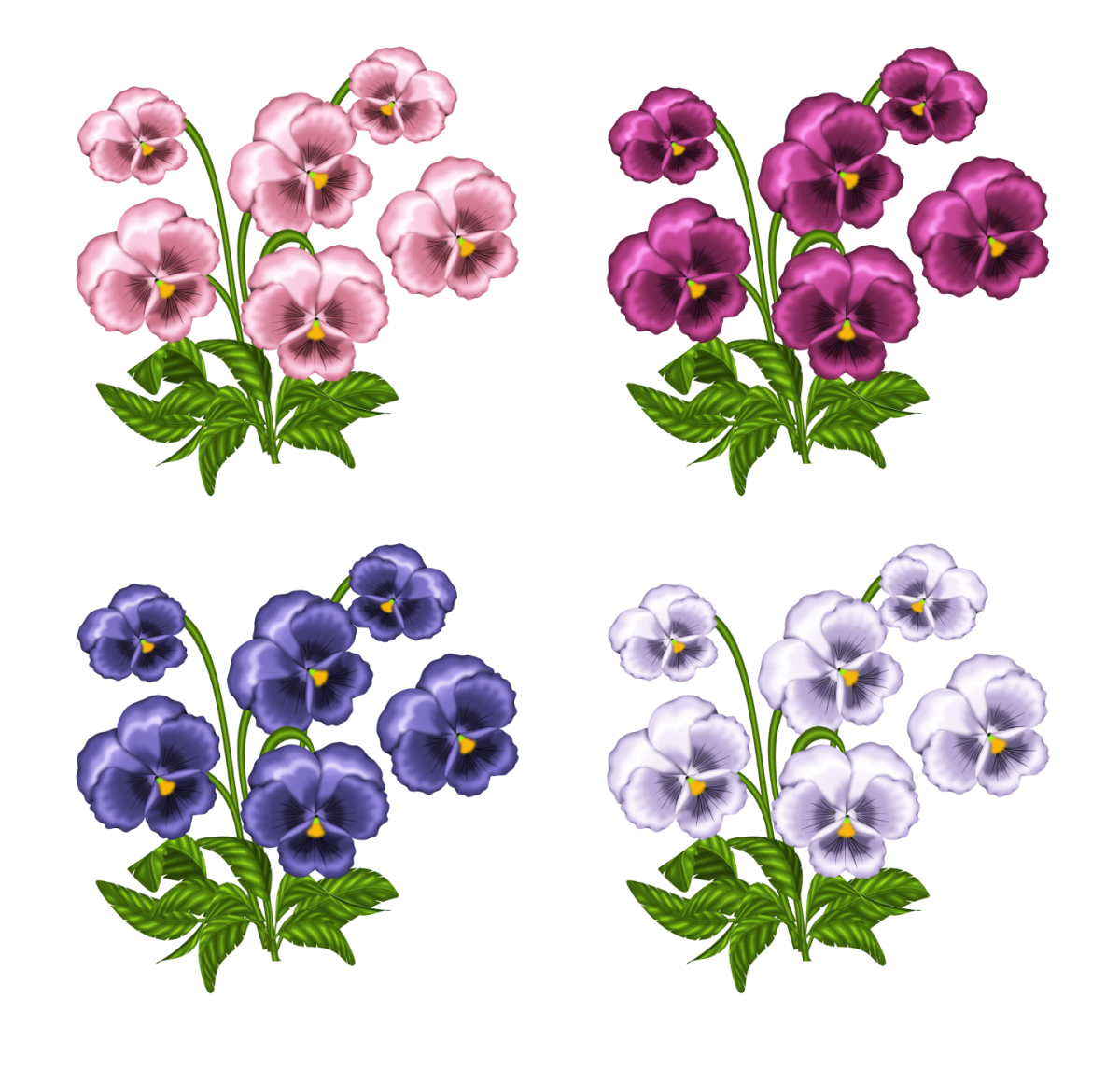 Анютины глазки вектор