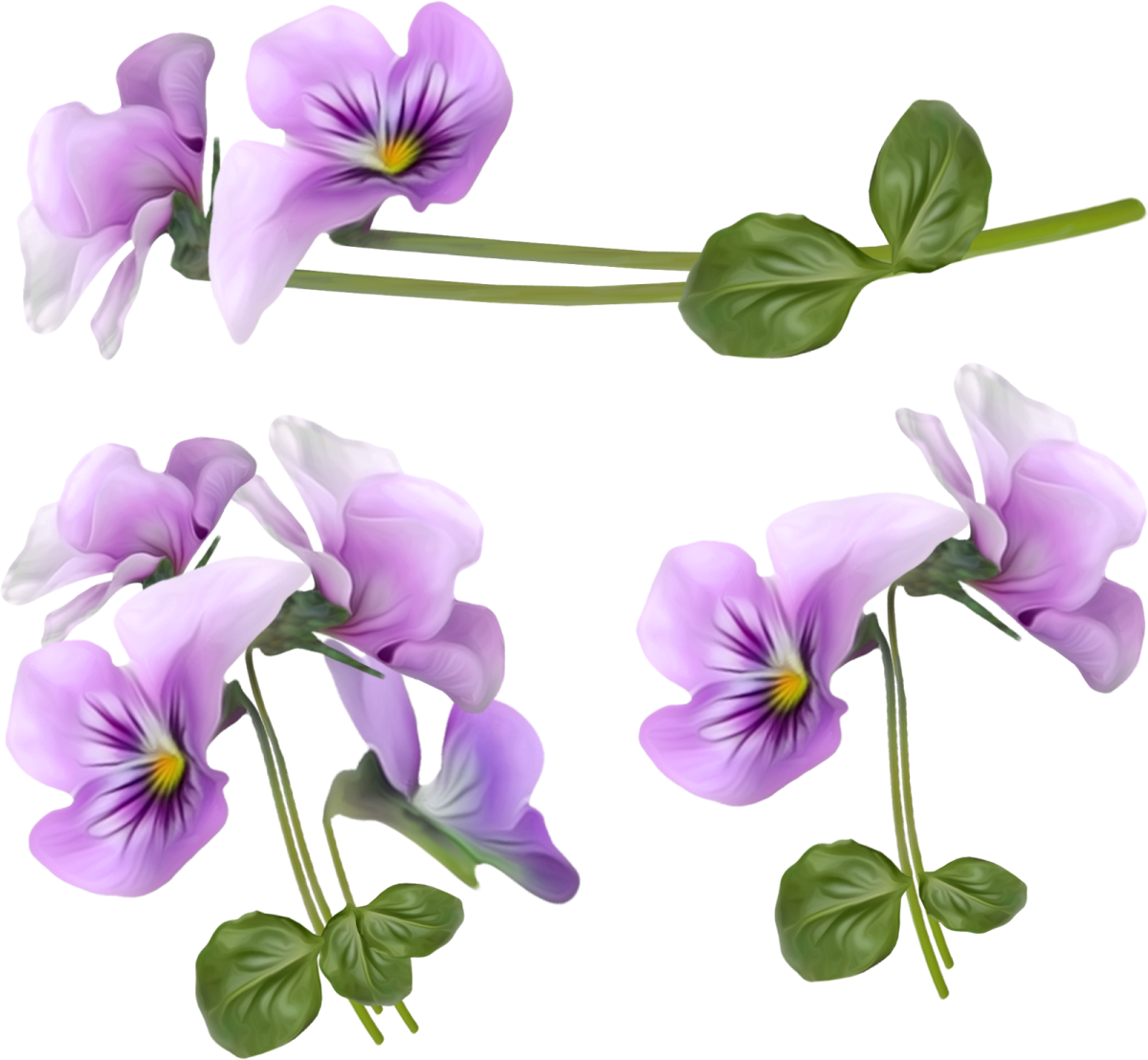 Цветочки растровые