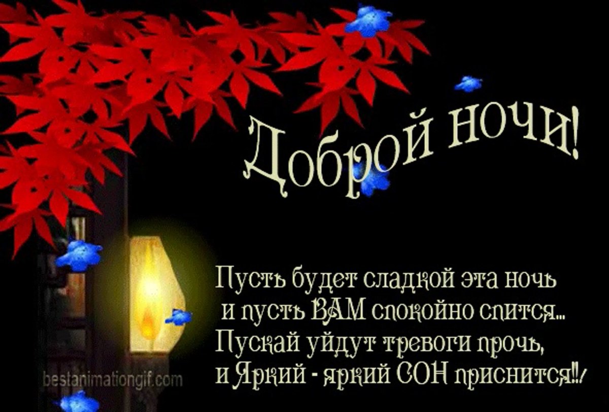 Хорошего вечера и доброй ночи