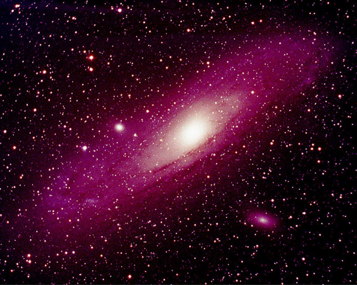 Пурпурная звезда