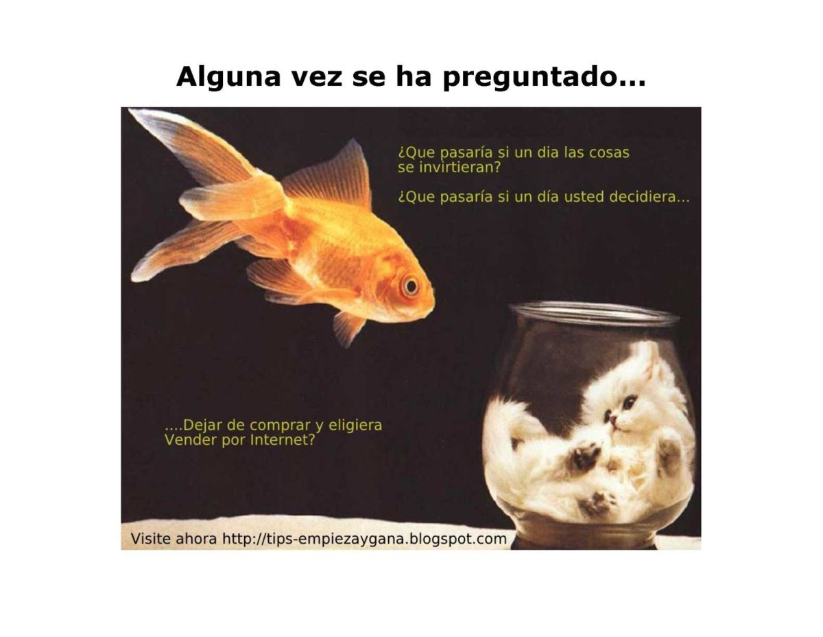 Золотая рыбка юмор