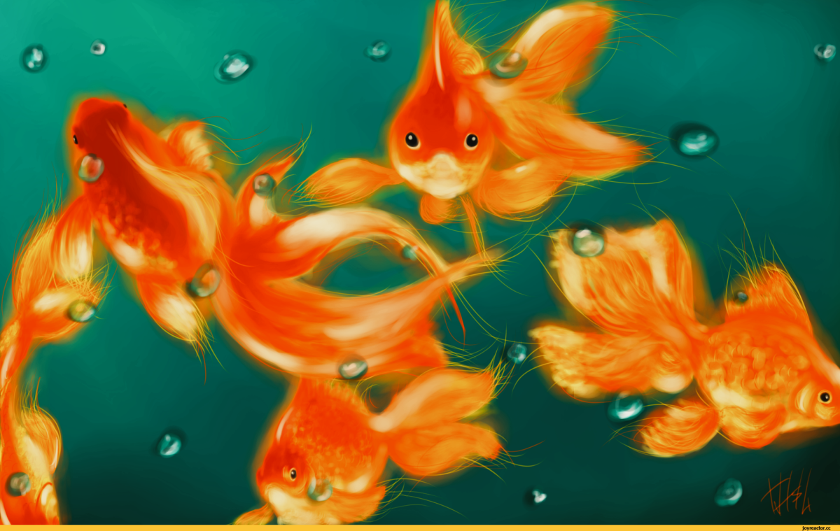 Заставка рыбки