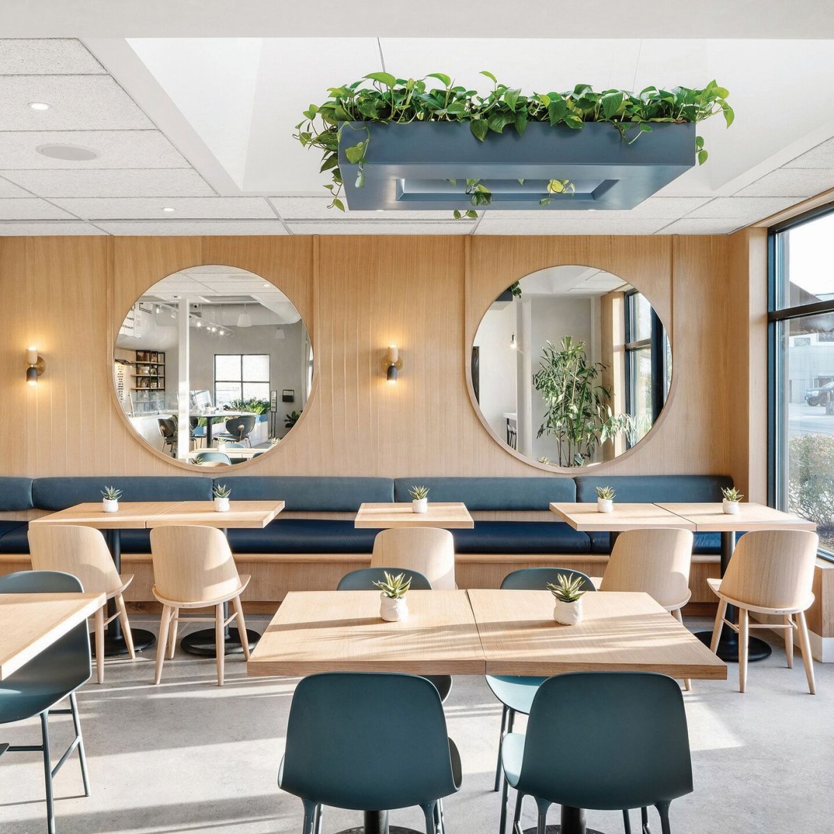 Стационарное помещение кафе это