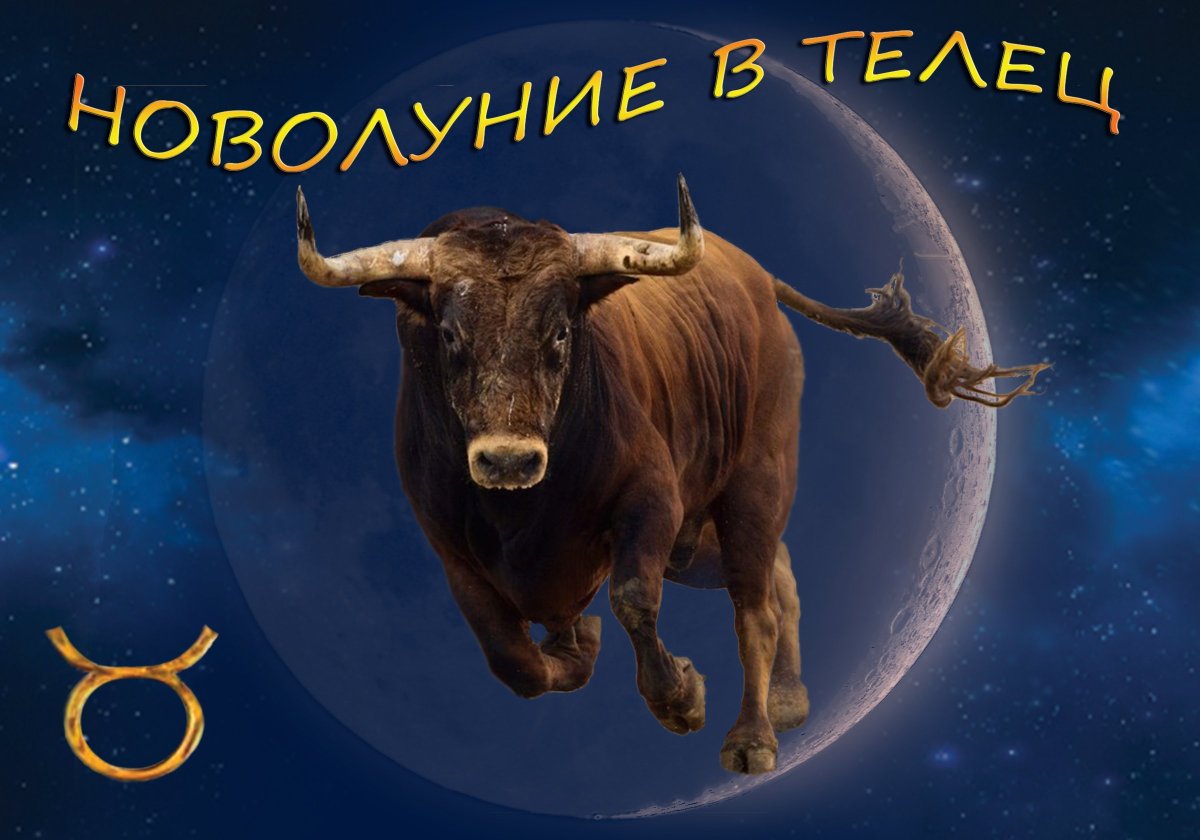 Новолуние в тельце