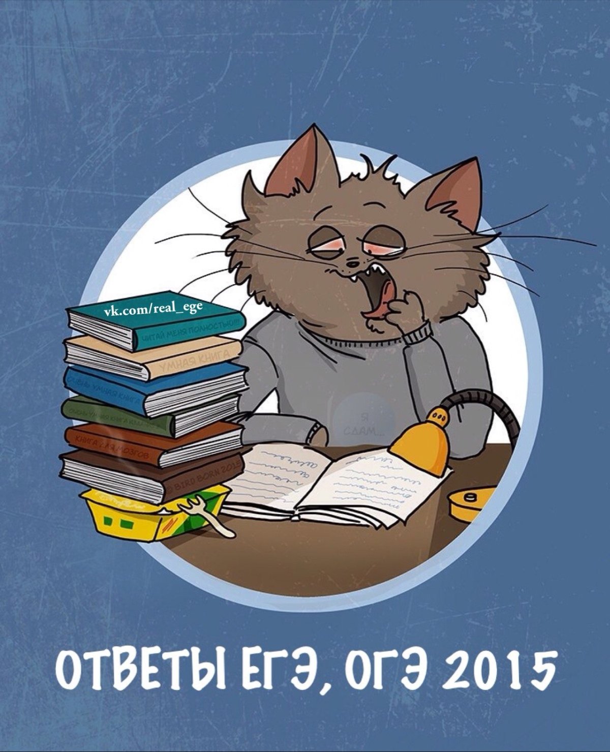 Котик студент