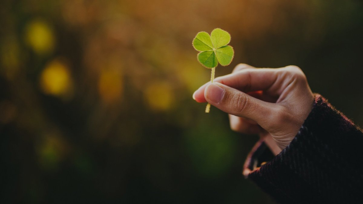 Клевер Эстетика четырёхлистник