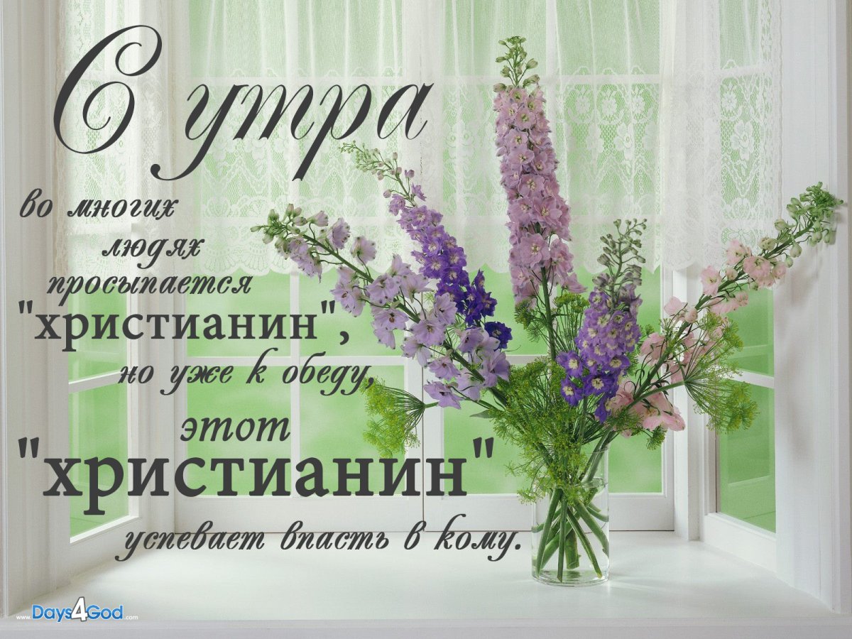 Хорошего воскресного денечка и отличного настроения