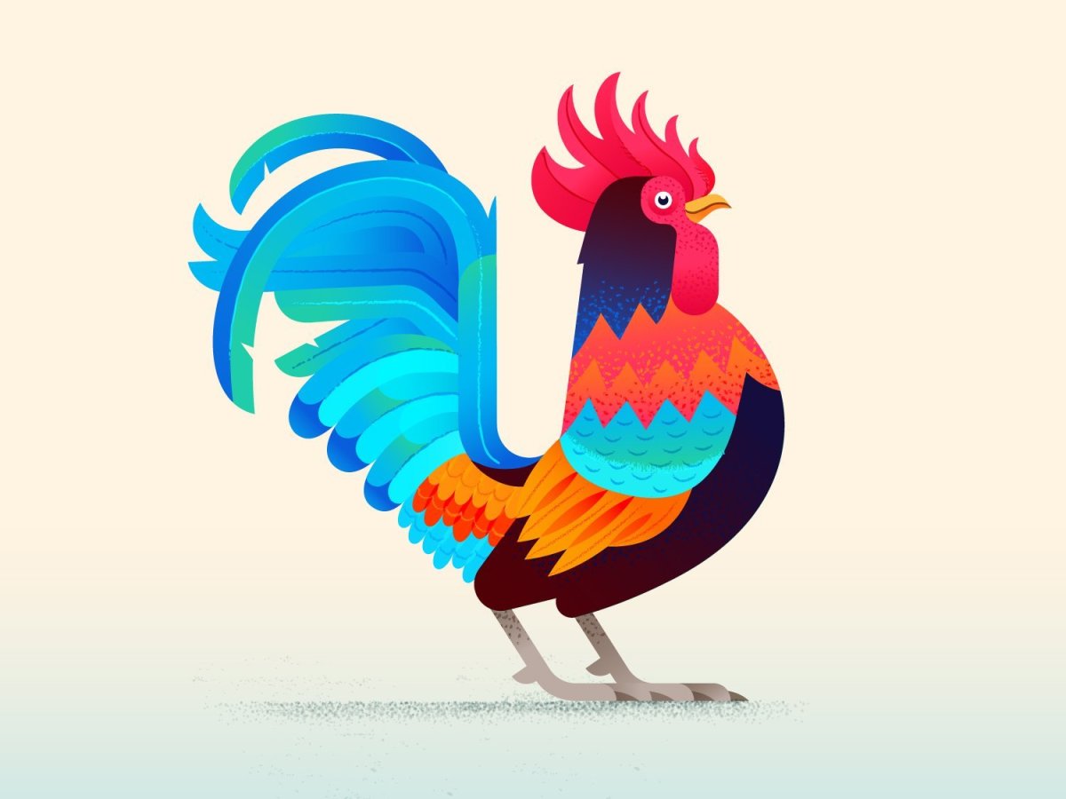 Coq мультяшный