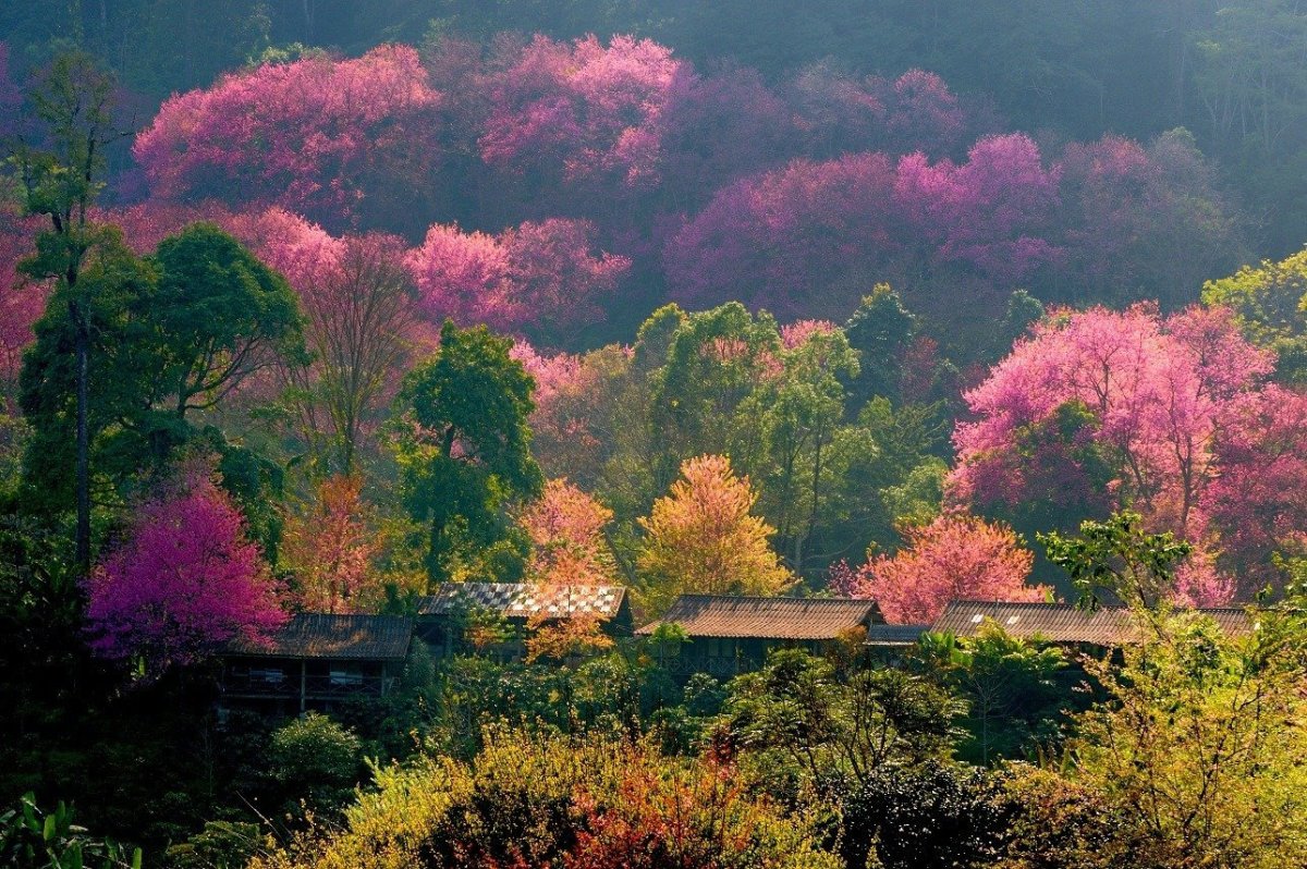 Японский пейзаж