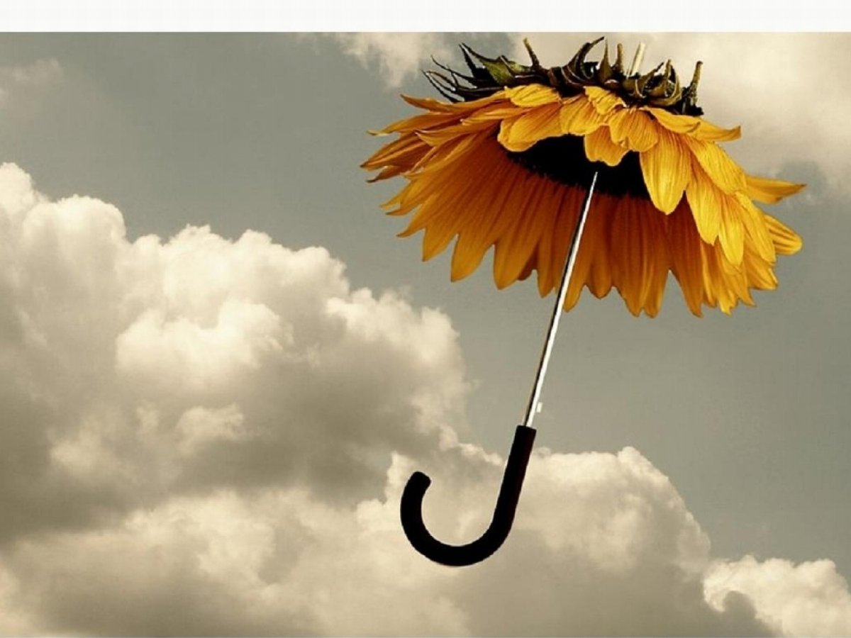 Зонт с хорошим настроением