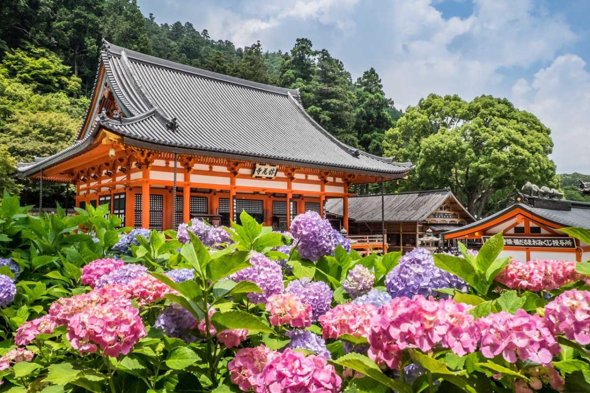 Красивая природа Японии