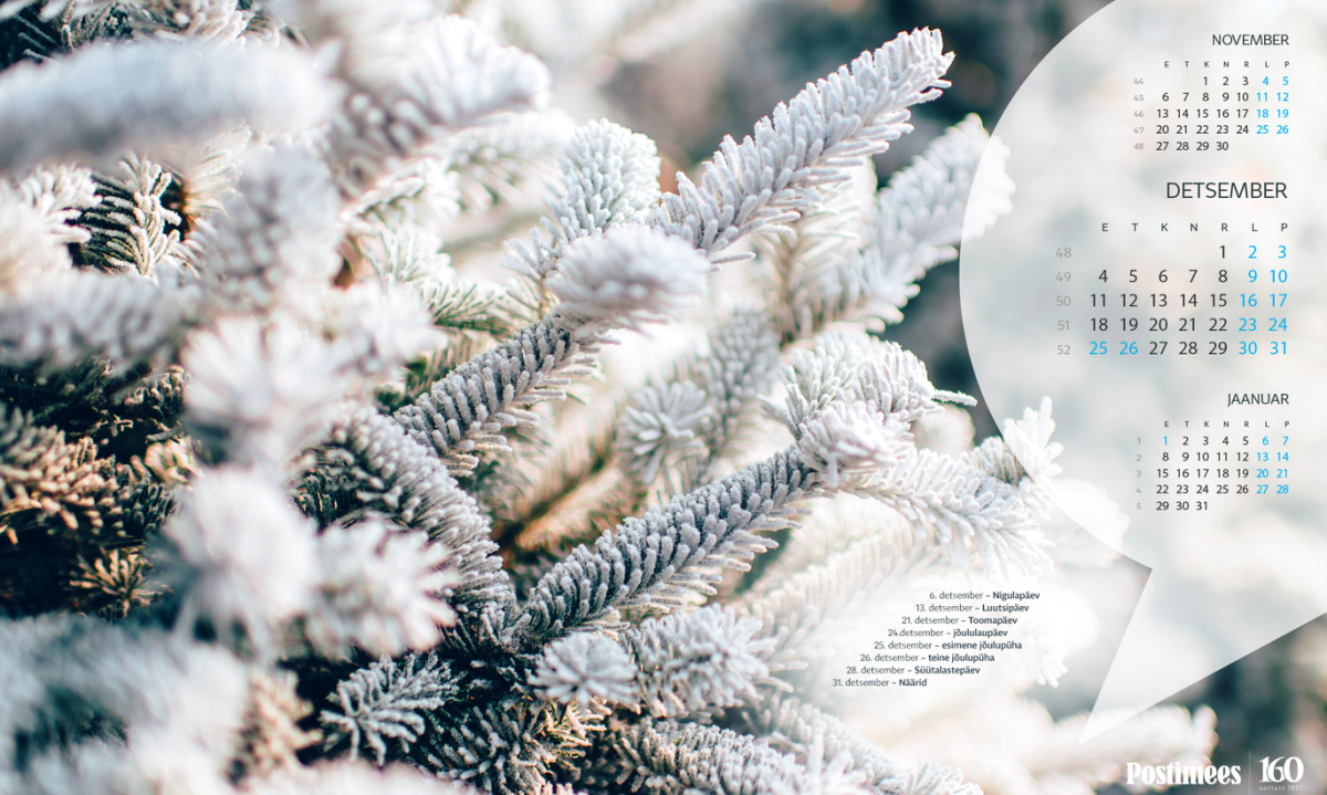 Зимний календарь