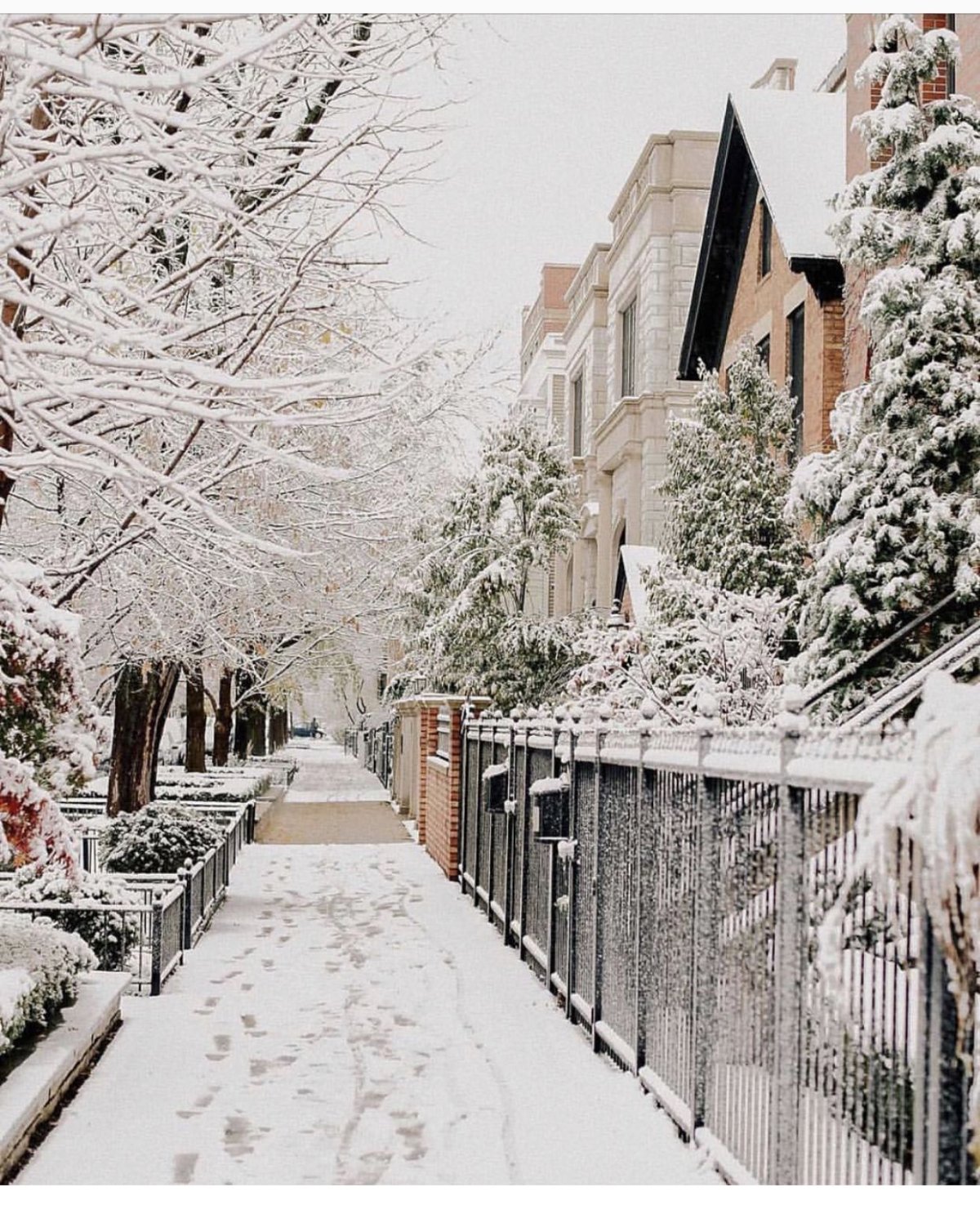 Снег в городе