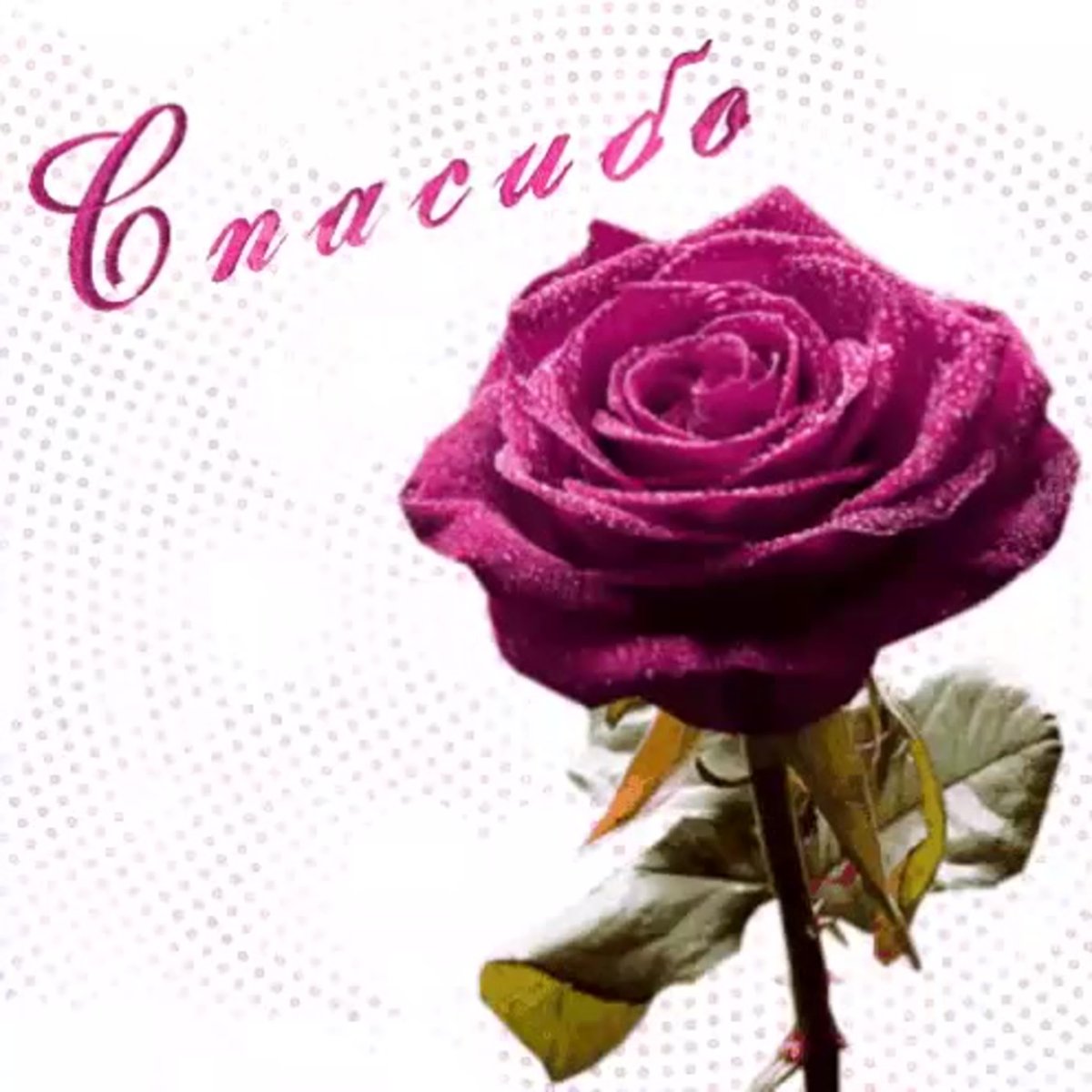 Открытки со словами