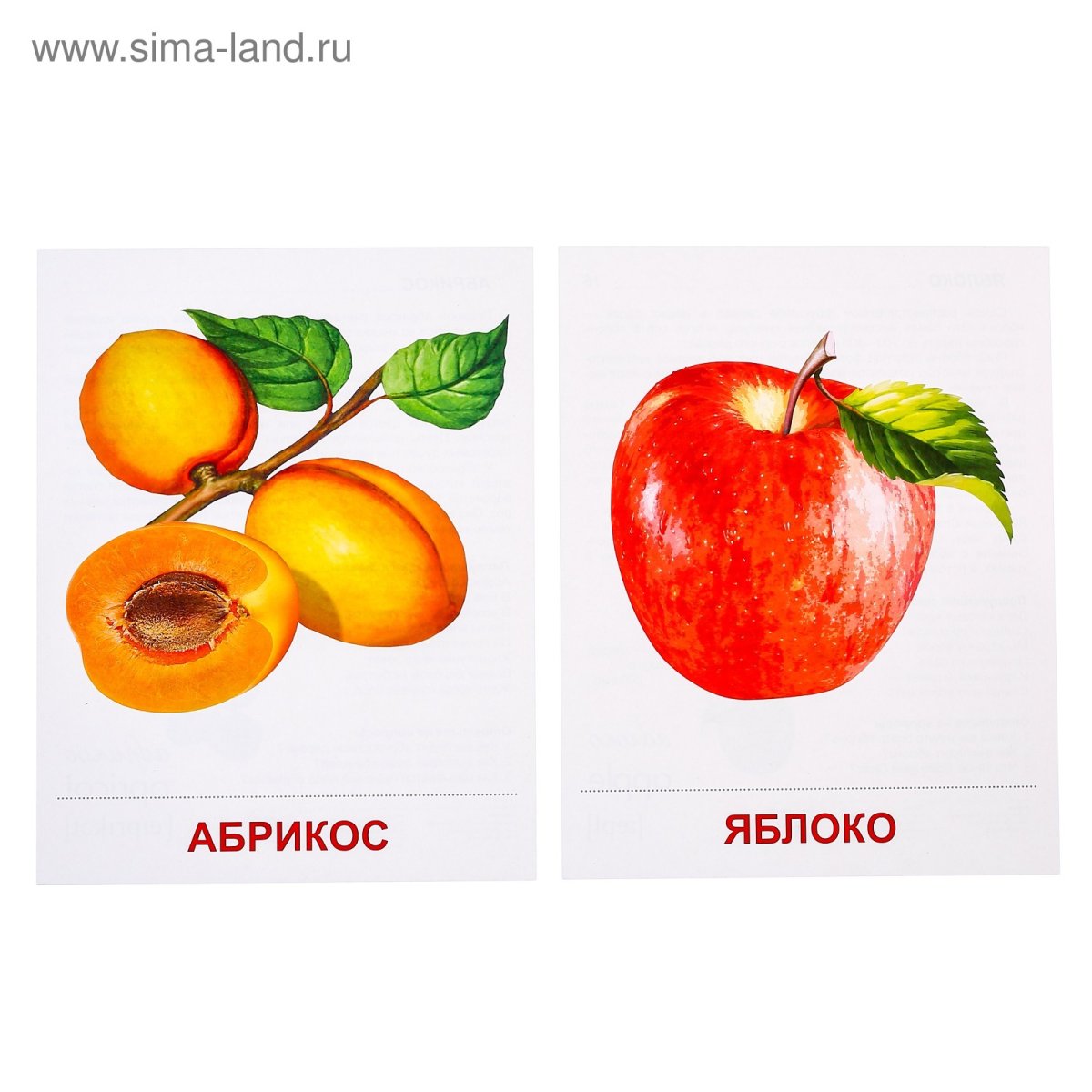 Демонстрационный материал для детского сада фрукты