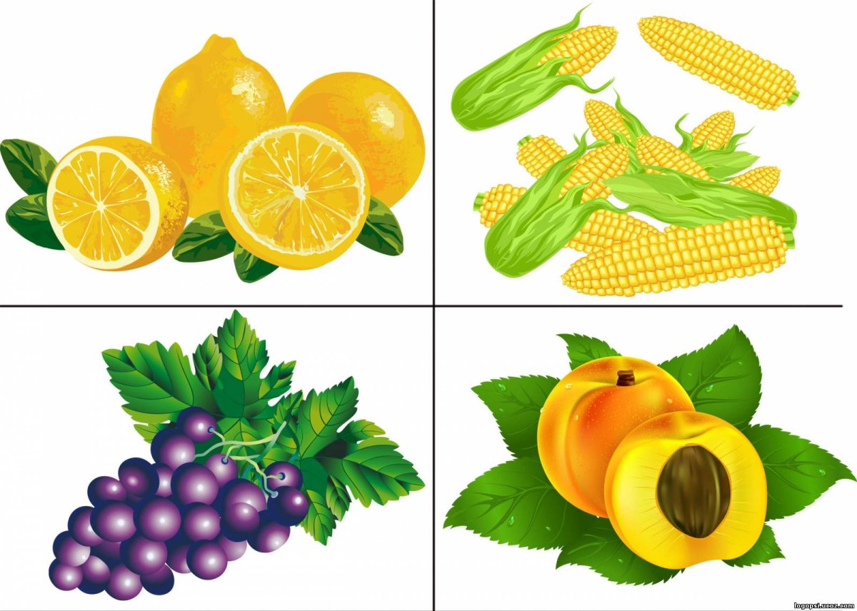 Простые векторные фрукты