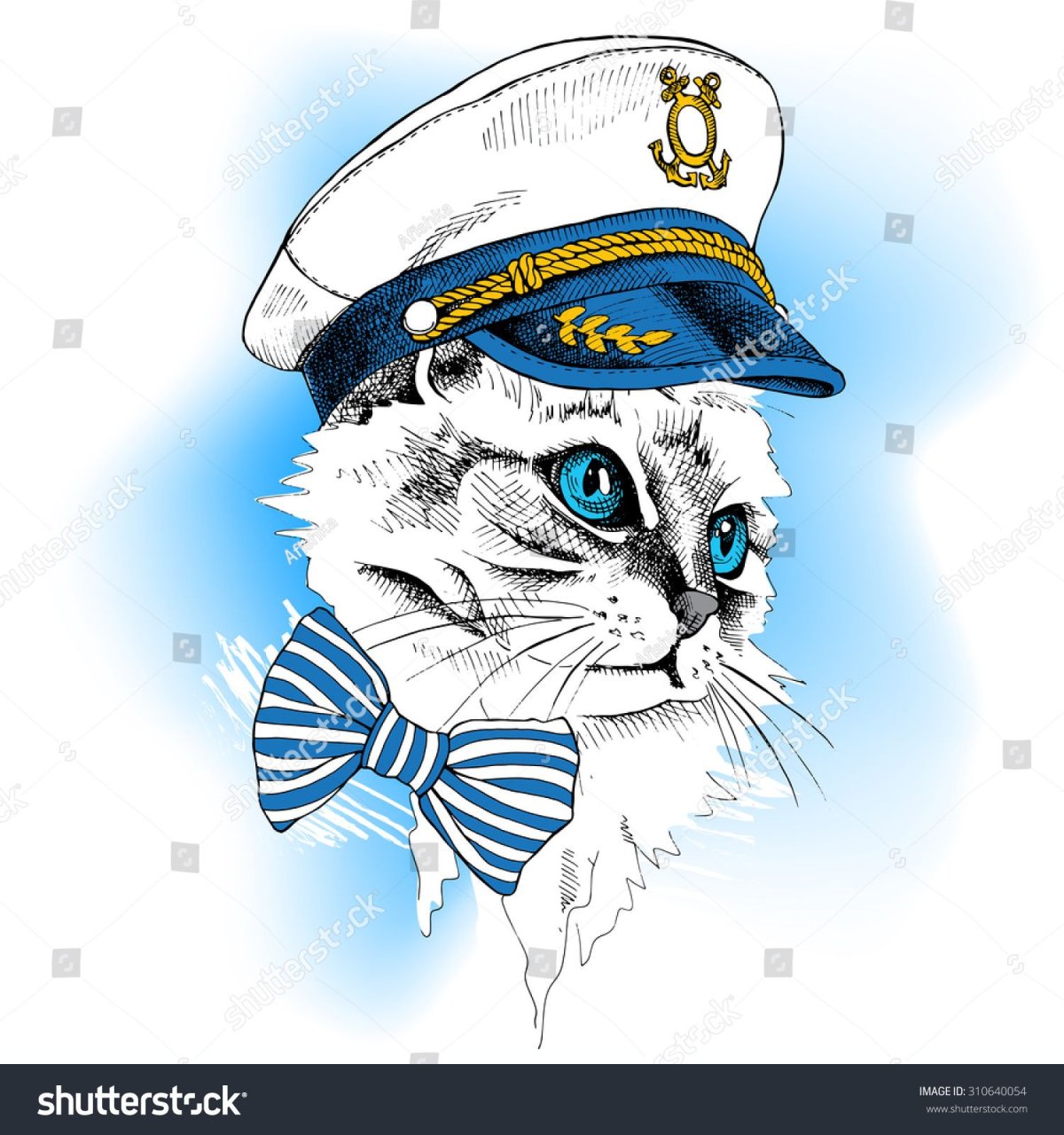 Кот в фуражке моряка