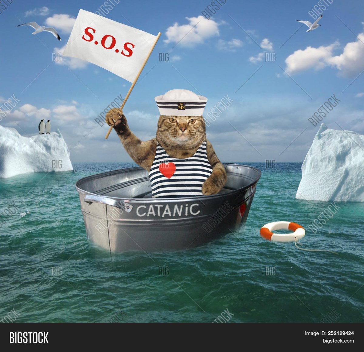 Кошка моряк