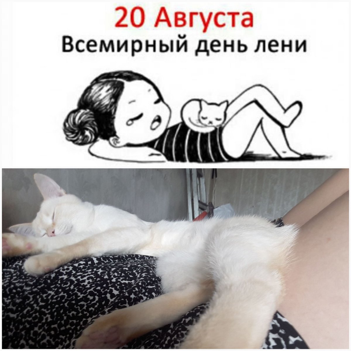 И тебя с праздником лени