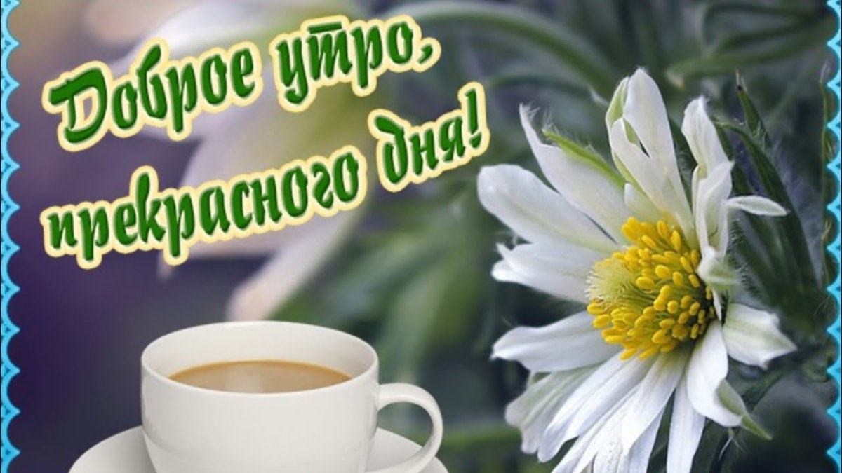 Доброе утро среда сентябрь