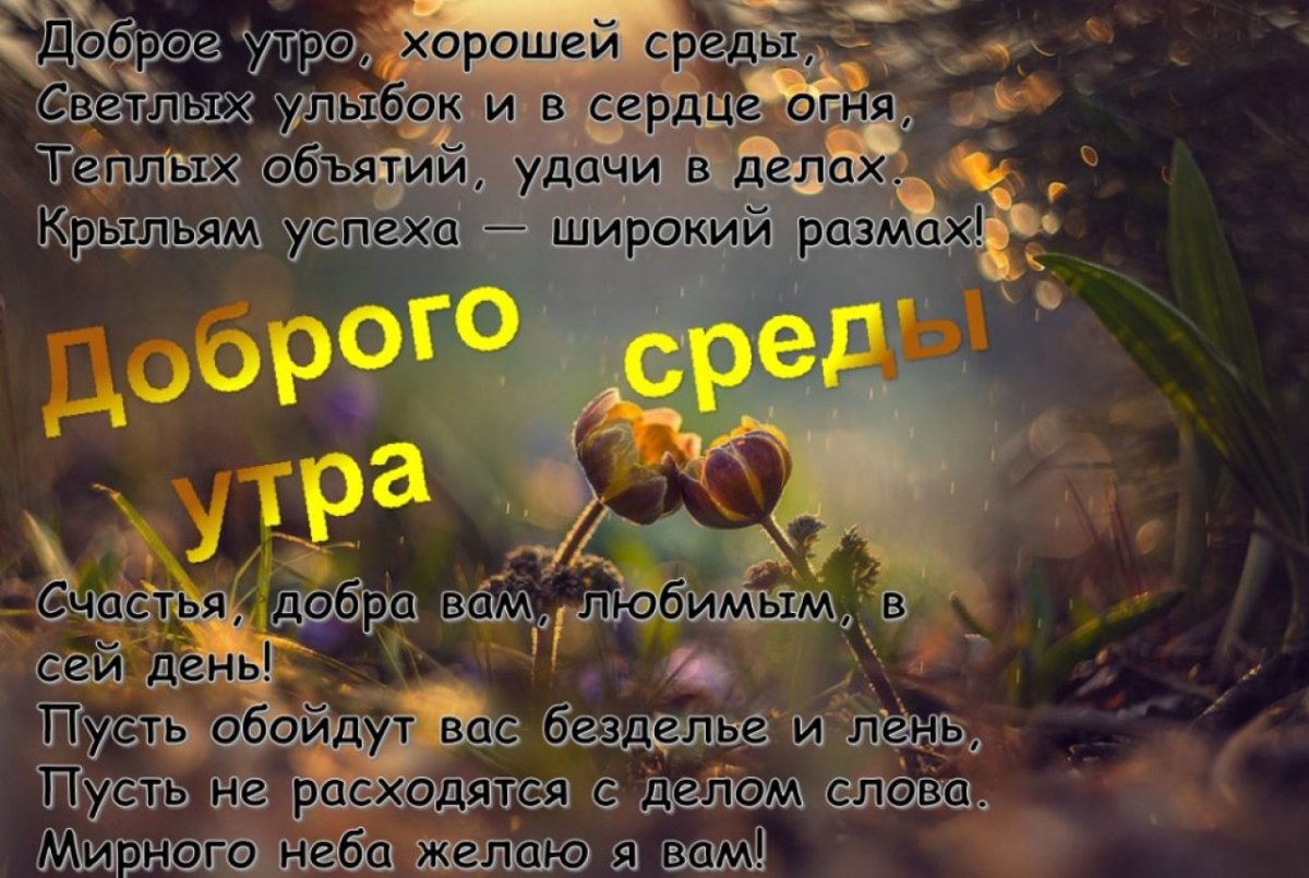 Доброе утро пусть день сложится удачно