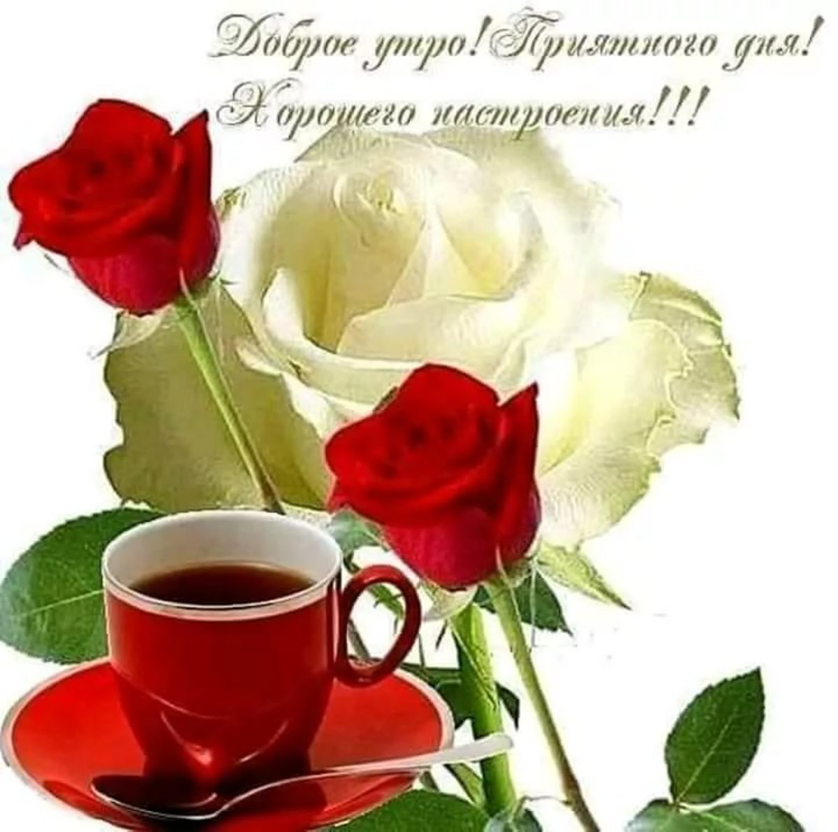 Открытки с добрым утром красивые мерцающие