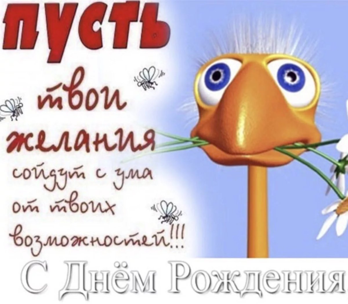 Лёша с днём рождения поздравления