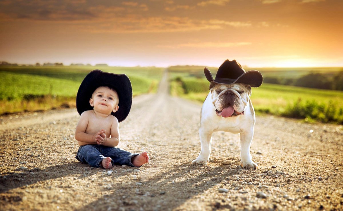 Позитив дети и животные