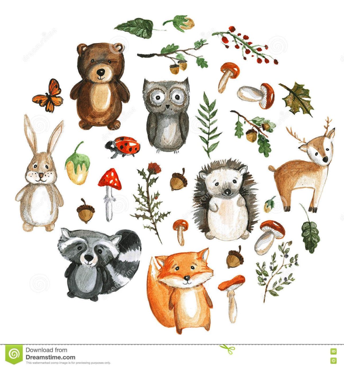 Лесные зверята на белом фоне