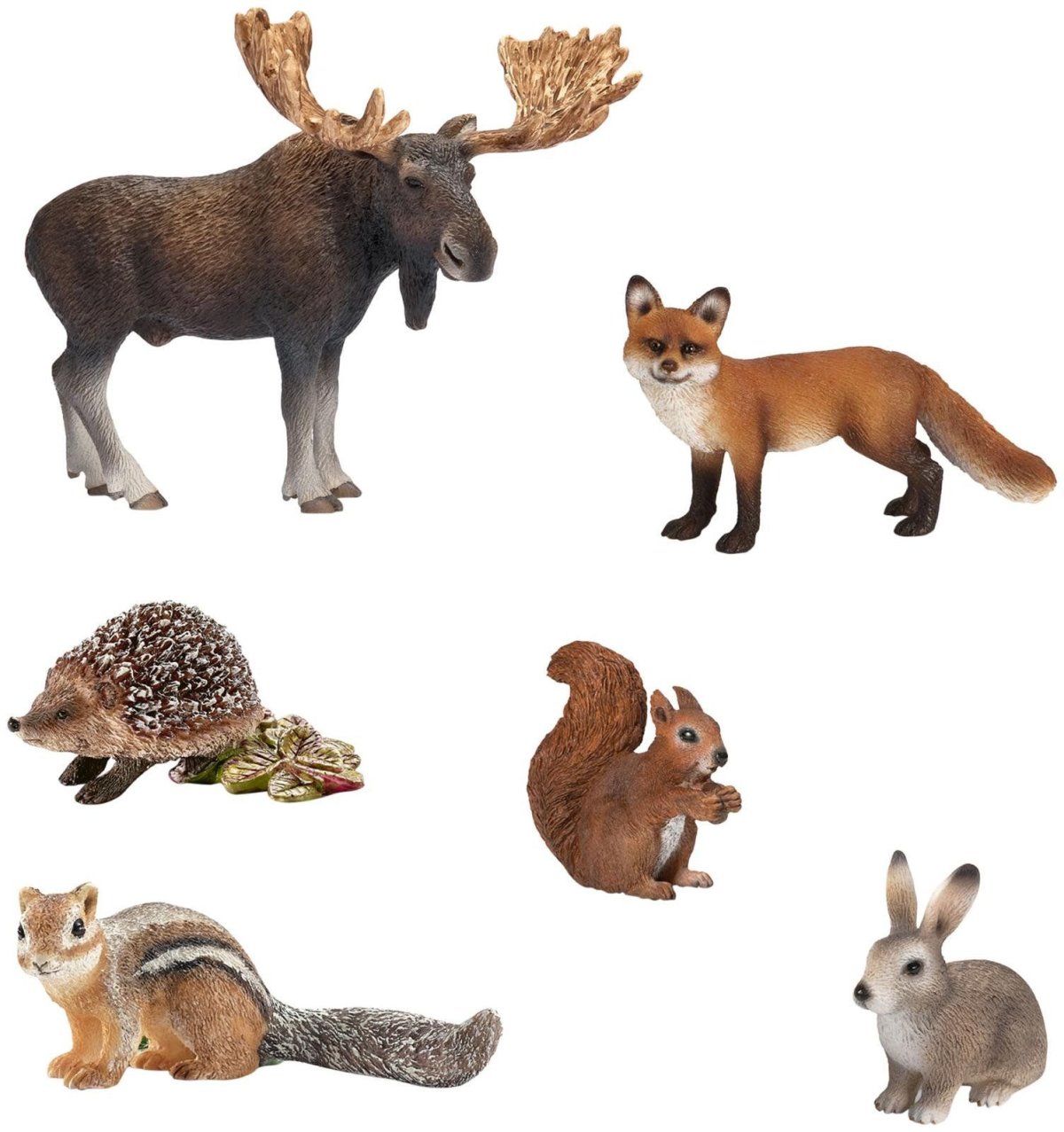 Животные наших лесов