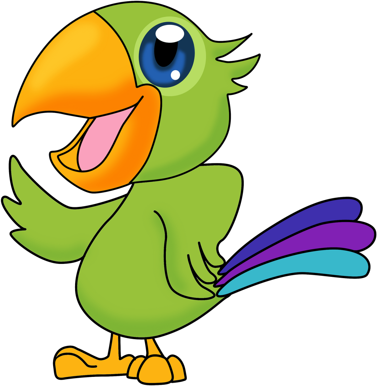 Попугай рисунок