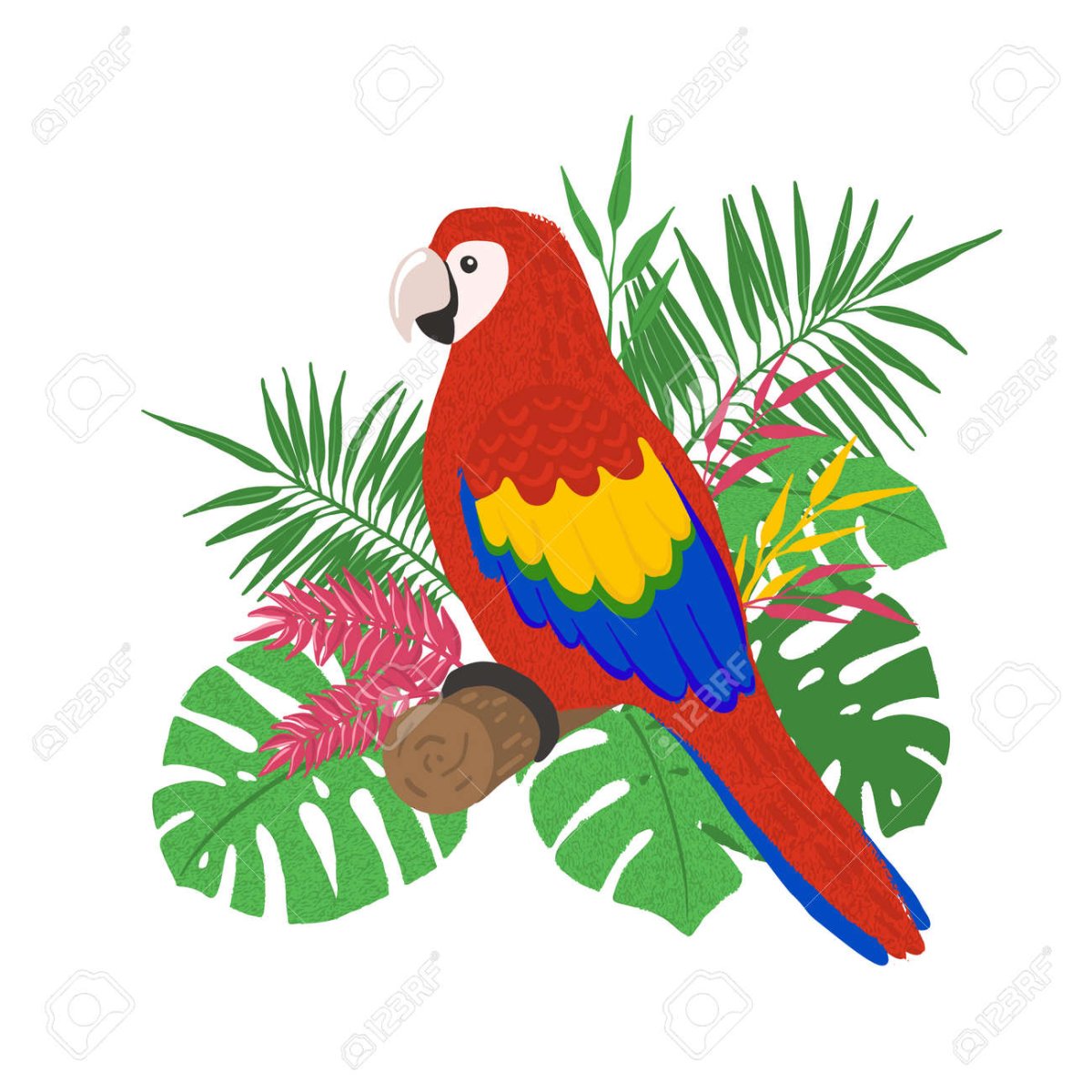 Нарисовать попугай Ara