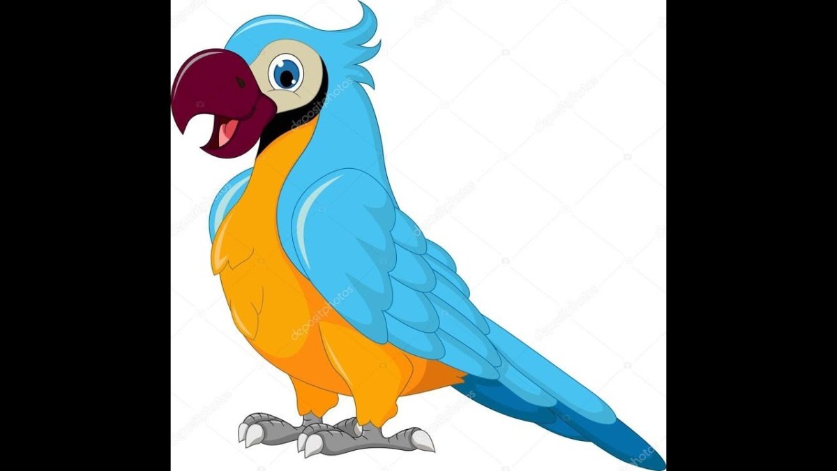Попугай для рисования мультика