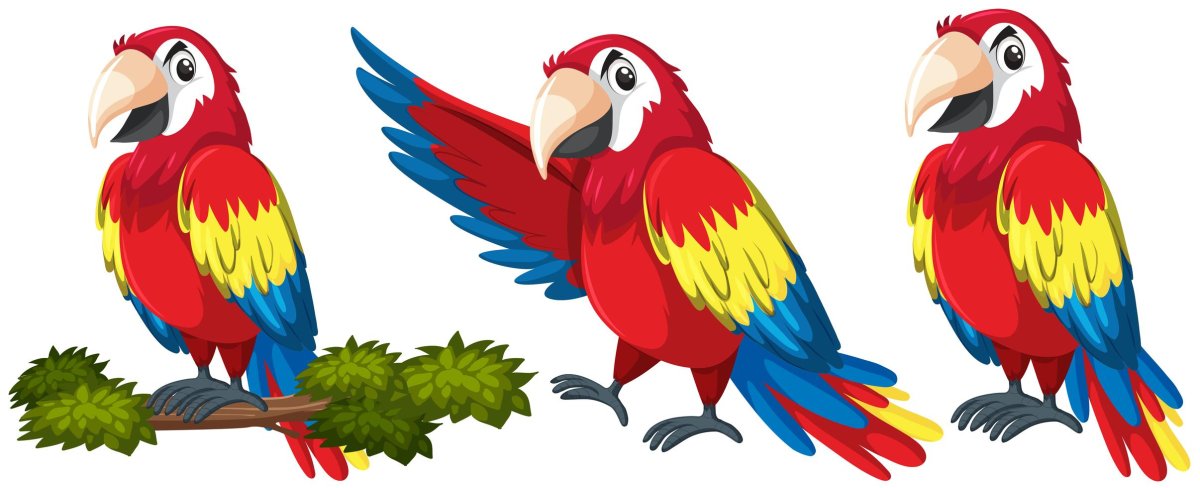Red Parrot for Kids vector stock