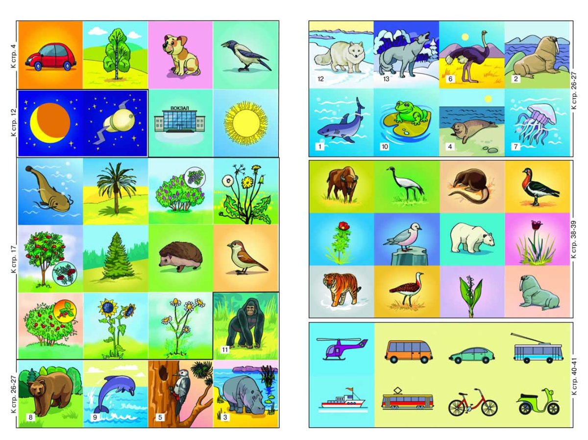 Плакат Живая и неживая природа