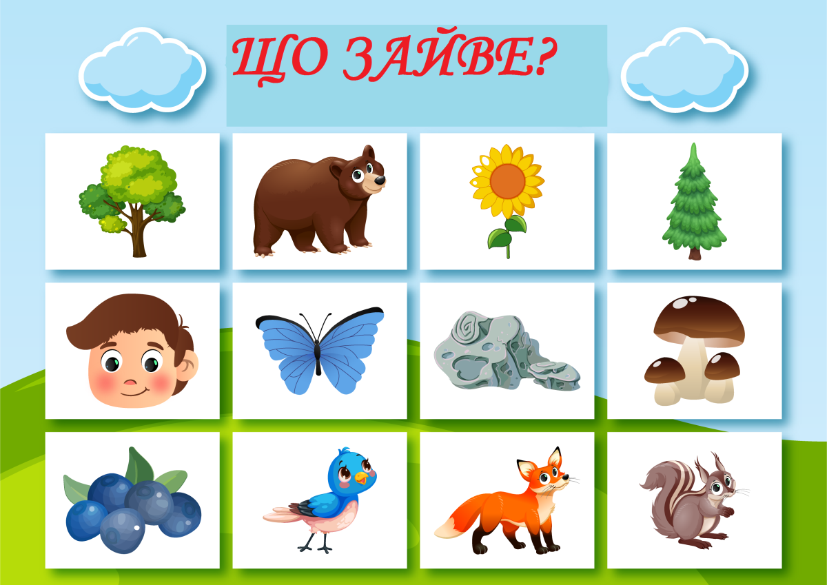 Игра Живая и неживая природа