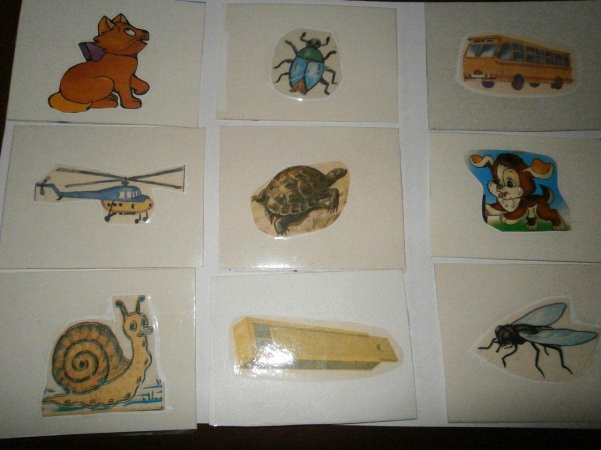 Живая и неживая природа 1 класс окружающий мир