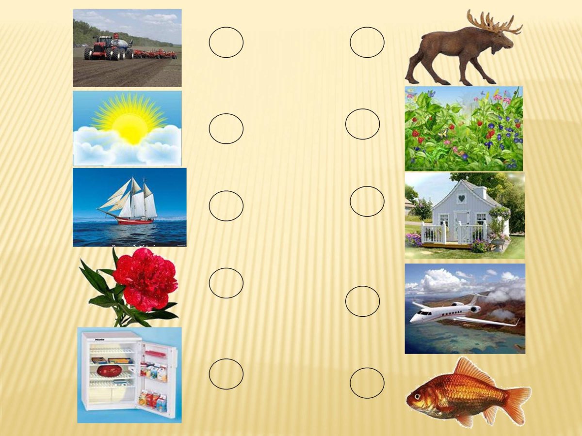 Объекты живой природы