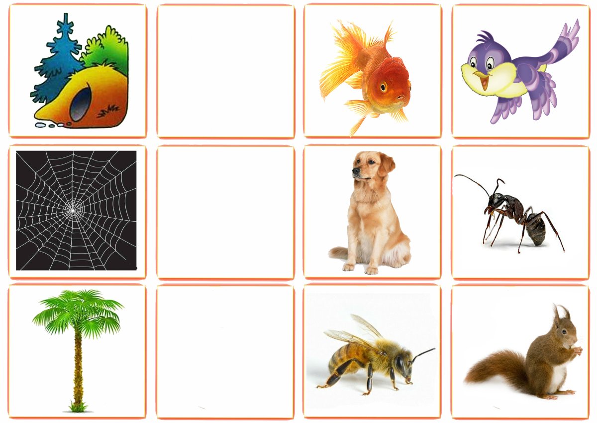 Дидактическая игра по природному и рукотворному миру