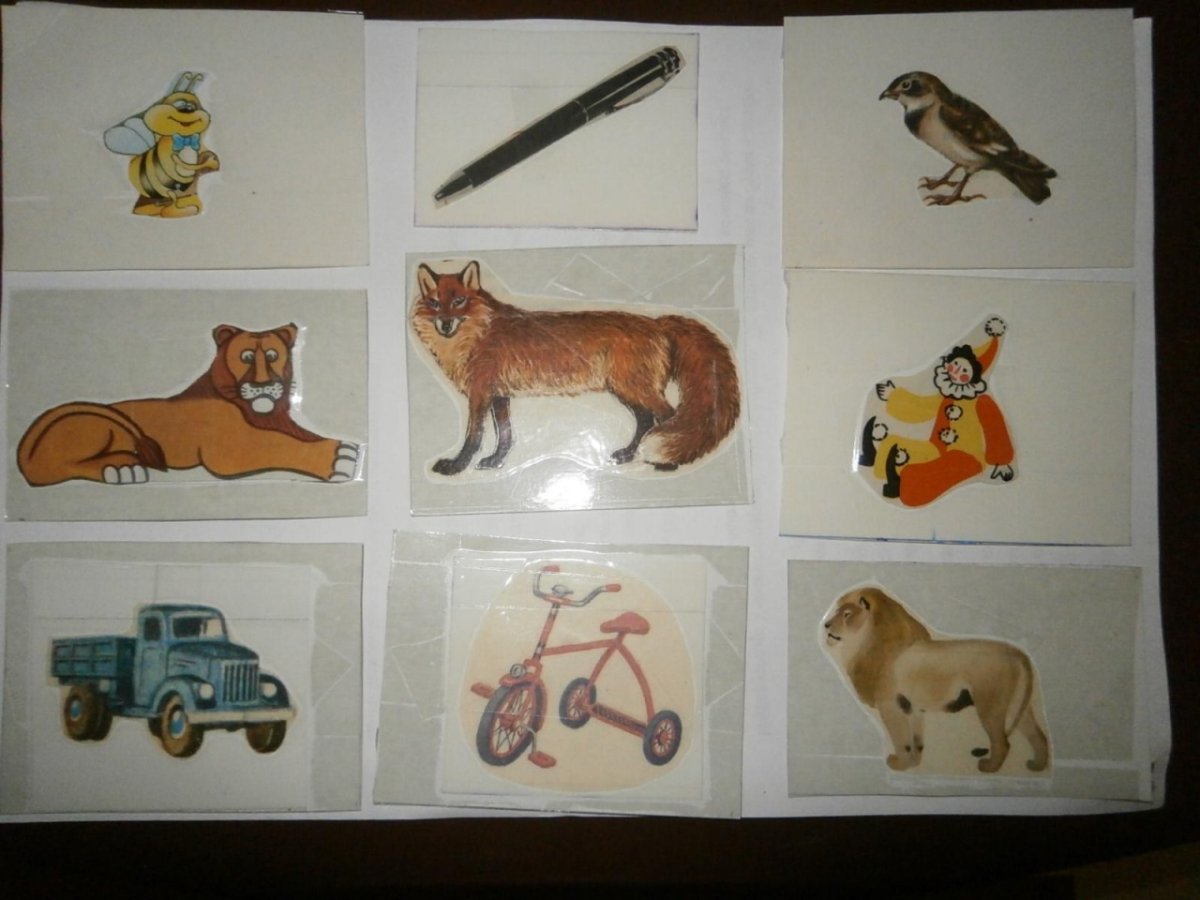 Живая и неживая природа