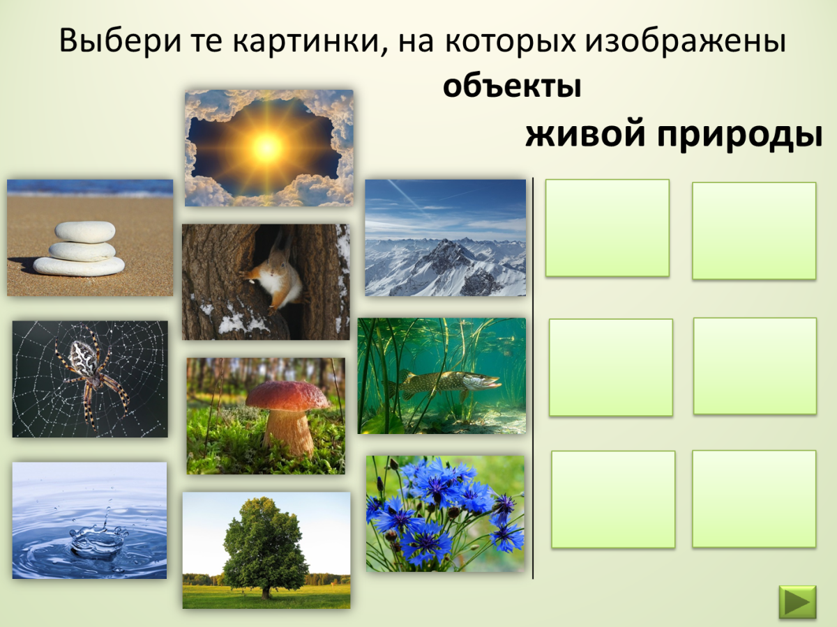 Неживая природа картинки