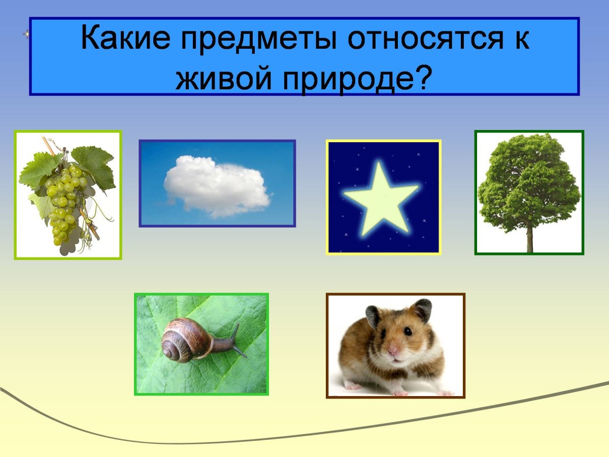 Логопедические раскраски